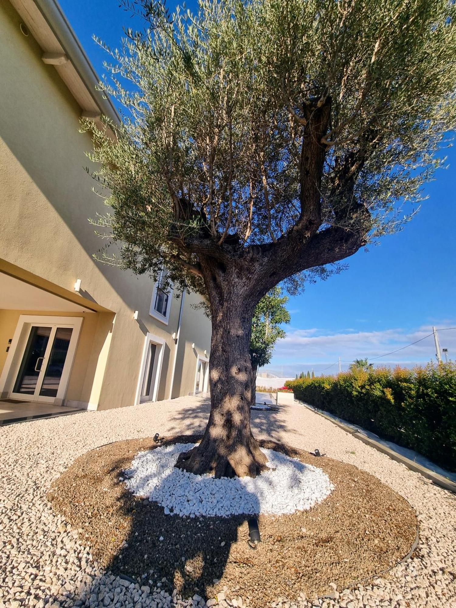 וולה Ro Agrimaison מראה חיצוני תמונה