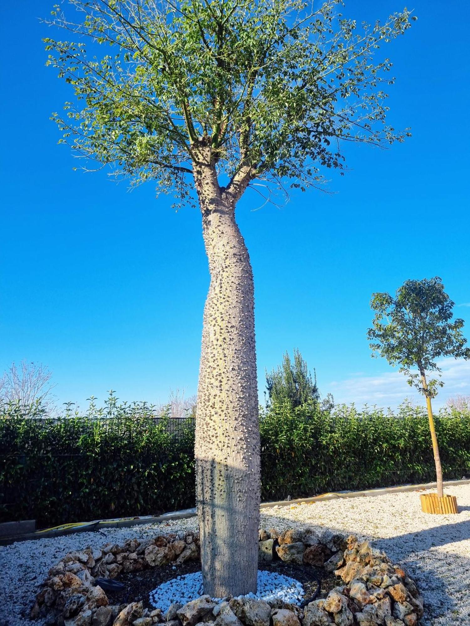 וולה Ro Agrimaison מראה חיצוני תמונה